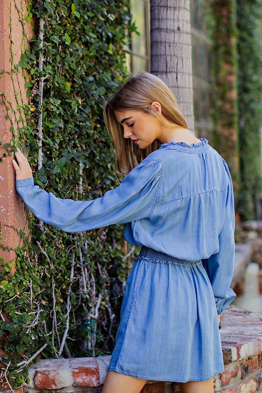 Day Dreamer Denim Dress