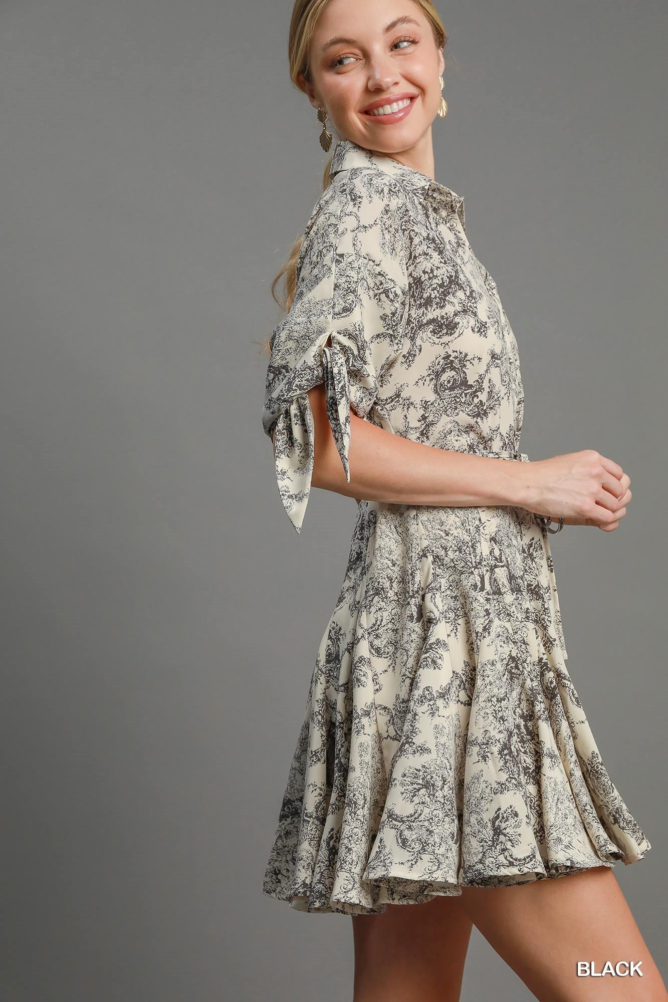 Black Willow Toile Print Dress (Black)