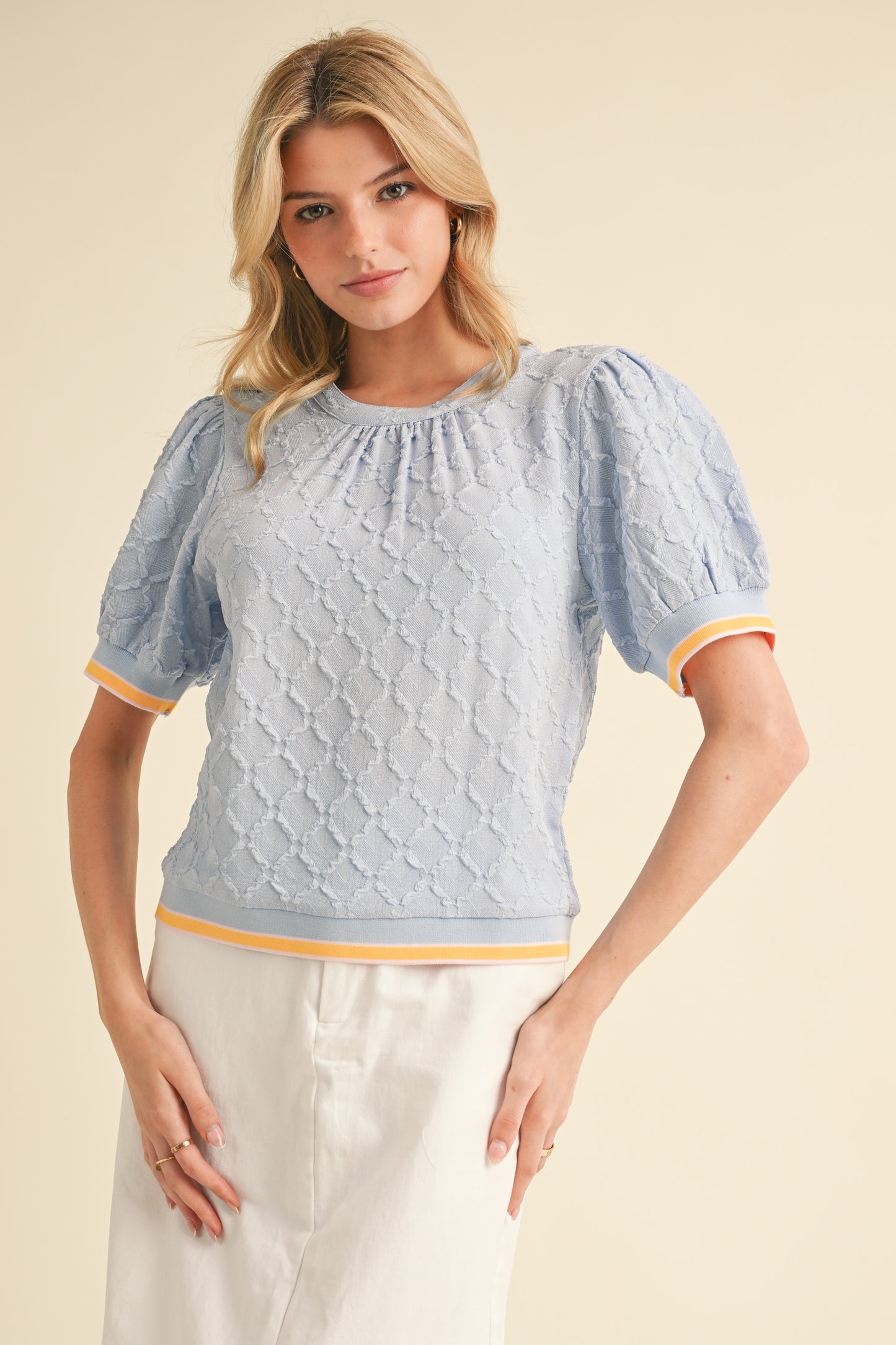 Nina Textured Puff Sleeve Top (Sky Blue)