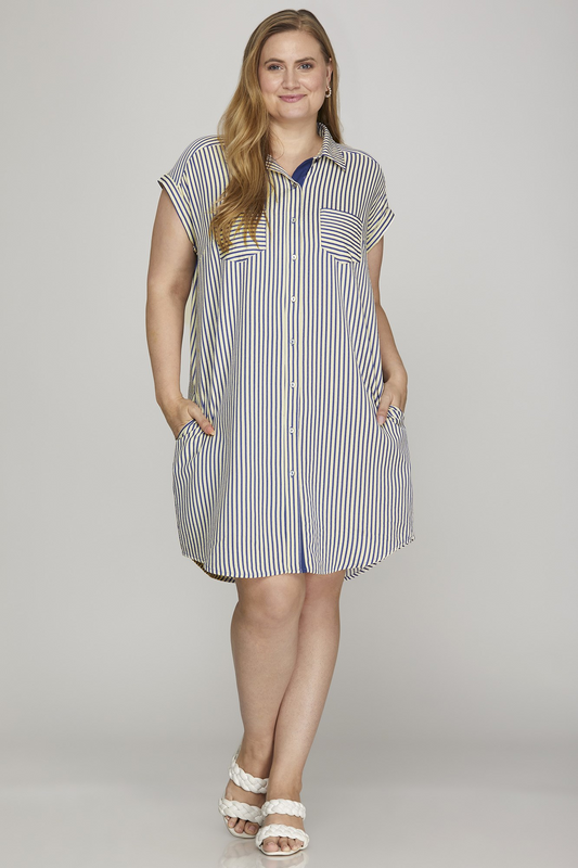 Curvy Carter Stripe Shirt Dress - Navy