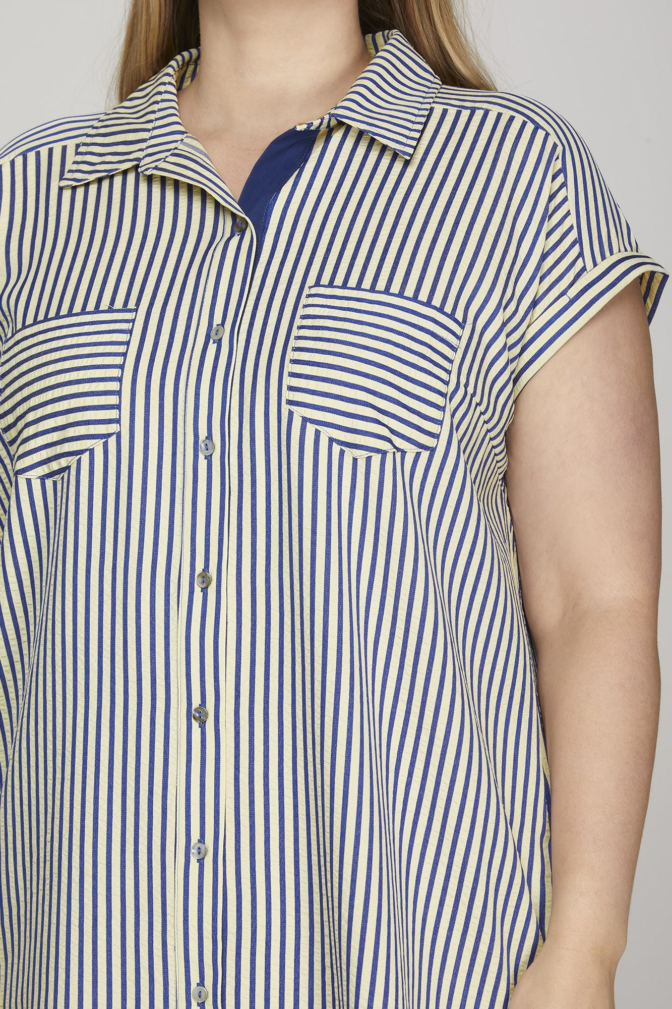 Curvy Carter Stripe Shirt Dress - Navy