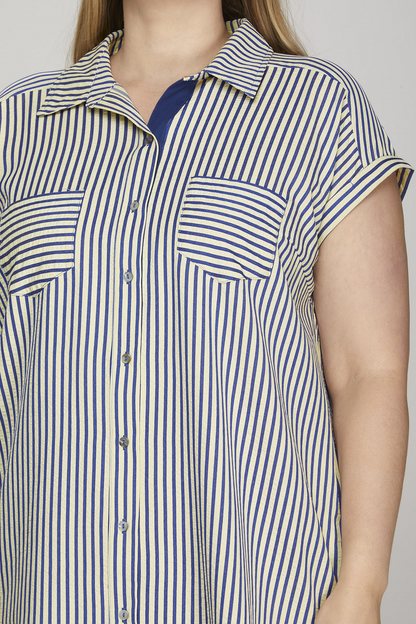 Curvy Carter Stripe Shirt Dress - Navy