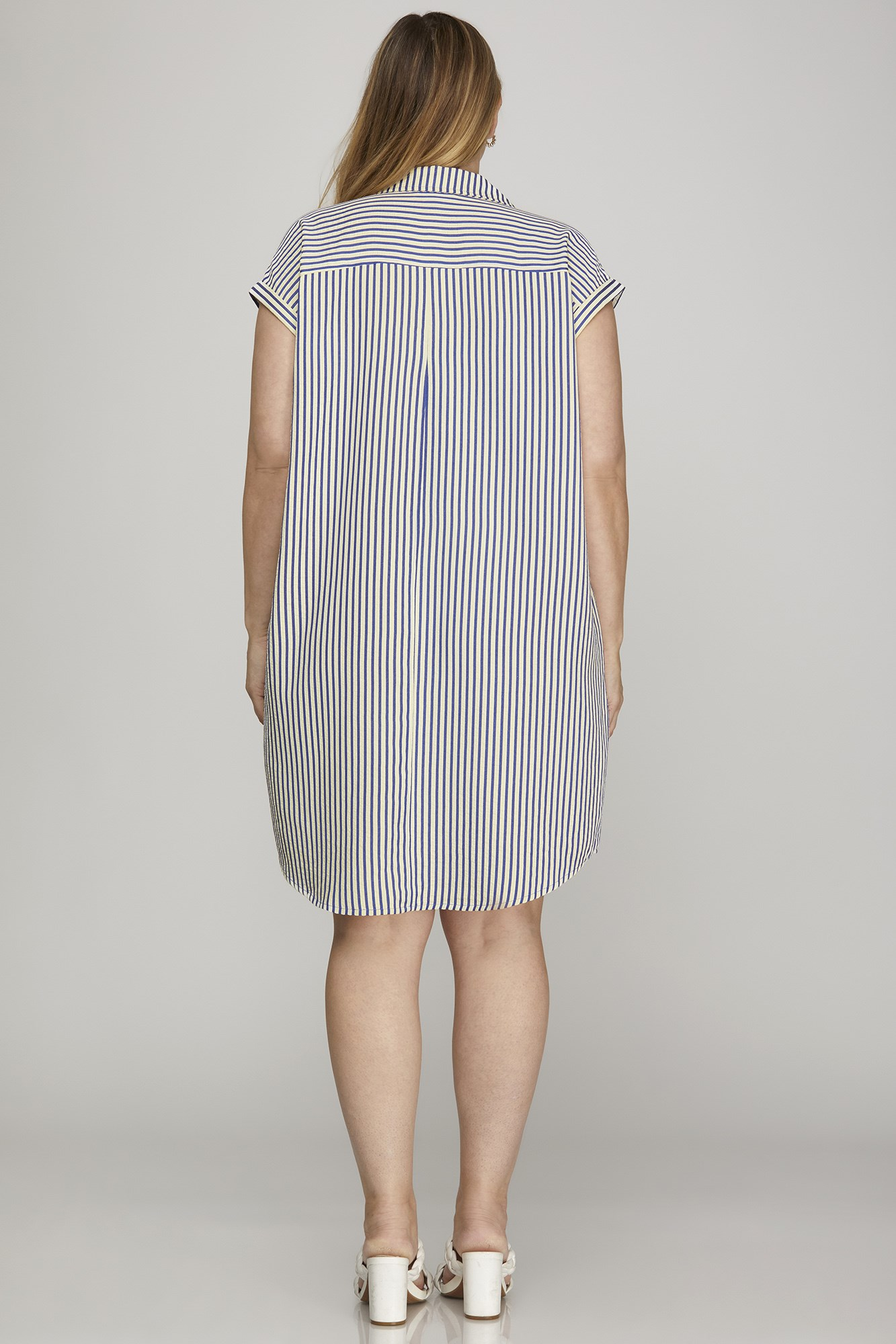 Curvy Carter Stripe Shirt Dress - Navy
