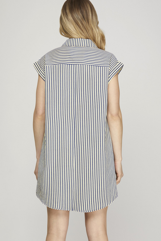 Carter Stripe Shirt Dress - Navy
