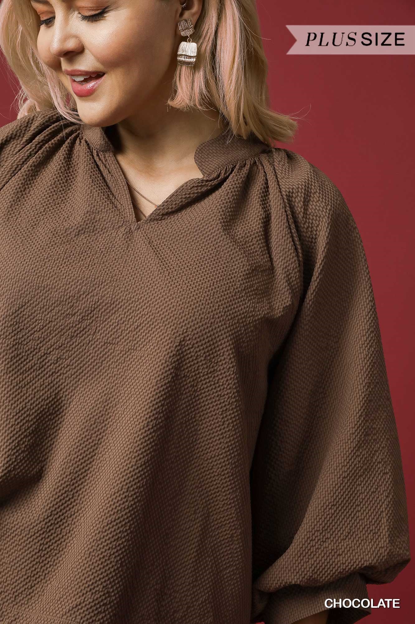 Curvy Day Dreaming Textured Top (Brown)